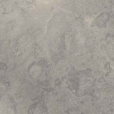  Ceramiche Caesar Portraits Outdoor Rouen 60x60x2 cm Terrastegel Aextra20 Mat Gestructureerd Naturale AG5R CAE | 361372