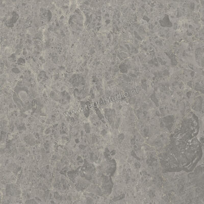  Ceramiche Caesar Portraits Outdoor Rouen 60x60x2 cm Terrastegel Aextra20 Mat Gestructureerd Naturale AG5R CAE | 361375