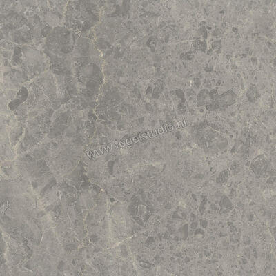  Ceramiche Caesar Portraits Outdoor Rouen 60x60x2 cm Terrastegel Aextra20 Mat Gestructureerd Naturale AG5R CAE | 361381
