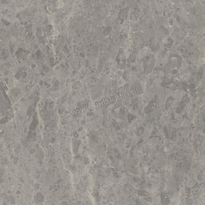  Ceramiche Caesar Portraits Outdoor Rouen 60x60x2 cm Terrastegel Aextra20 Mat Gestructureerd Naturale AG5R CAE | 361387