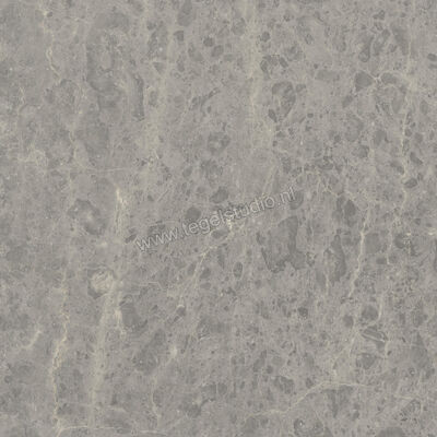  Ceramiche Caesar Portraits Outdoor Rouen 60x60x2 cm Terrastegel Aextra20 Mat Gestructureerd Naturale AG5R CAE | 361393