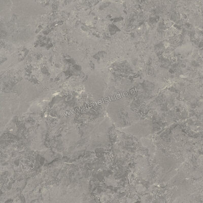  Ceramiche Caesar Portraits Outdoor Rouen 60x60x2 cm Terrastegel Aextra20 Mat Gestructureerd Naturale AG5R CAE | 361405