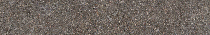  Ceramiche Caesar Shapes of Italy Lavis 10x60 cm Vloertegel / Wandtegel Mat Vlak Naturale AFO3 CAE | 361528