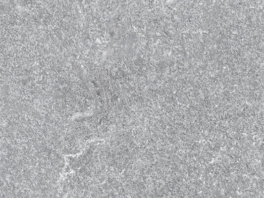  Ceramiche Caesar Shapes of Italy Sestriere 40x60 cm Vloertegel / Wandtegel Mat Vlak Naturale AFOJ CAE | 362014