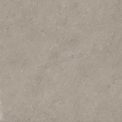  Ceramiche Caesar Slab2 Outdoor Ash 60x60x2 cm Terrastegel Aextra20 Mat Vlak Naturale AG1N CAE | 362152
