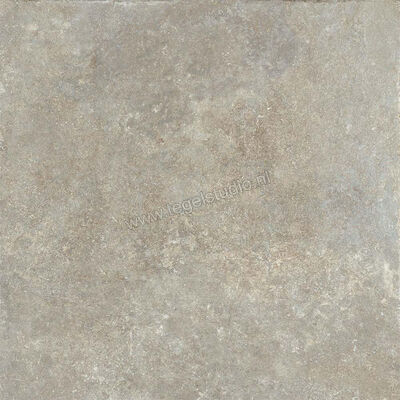  Ceramiche Caesar Step In Taupe 60x60 cm Vloertegel / Wandtegel Mat Vlak Naturale AFJ5 CAE | 362809