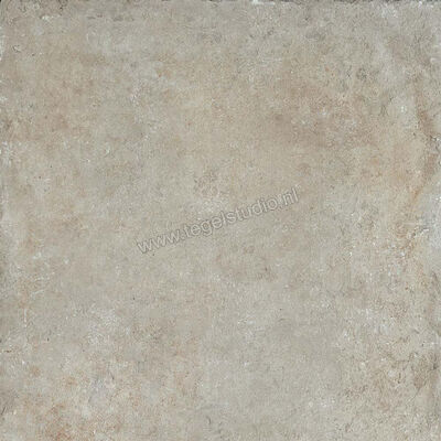  Ceramiche Caesar Step In Taupe 60x60 cm Vloertegel / Wandtegel Mat Vlak Naturale AFJ5 CAE | 362863