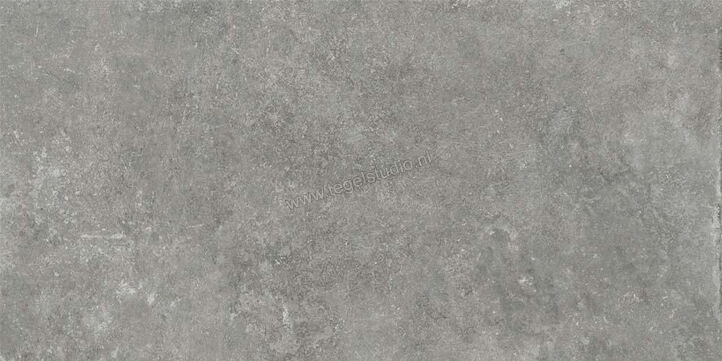  Ceramiche Caesar Step In Grey 30x60 cm Vloertegel / Wandtegel Mat Vlak Naturale AGWZ CAE | 363184
