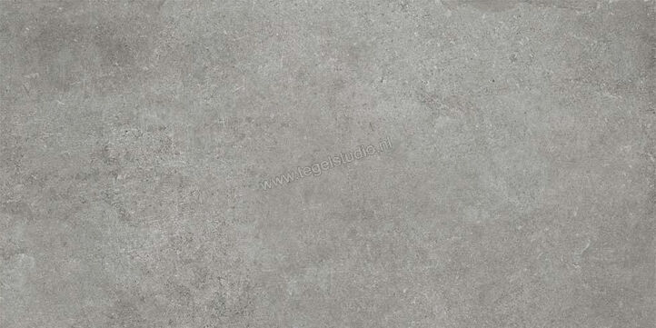  Ceramiche Caesar Step In Grey 30x60 cm Vloertegel / Wandtegel Mat Vlak Naturale AGWZ CAE | 363193