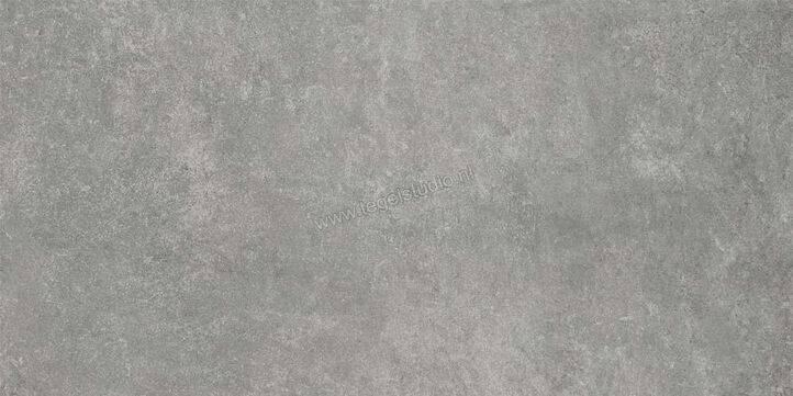  Ceramiche Caesar Step In Grey 30x60 cm Vloertegel / Wandtegel Mat Vlak Naturale AGWZ CAE | 363202