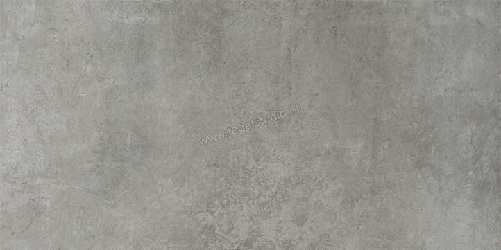  Ceramiche Caesar Step In Grey 30x60 cm Vloertegel / Wandtegel Mat Vlak Naturale AGWZ CAE | 363220
