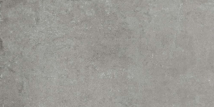  Ceramiche Caesar Step In Grey 30x60 cm Vloertegel / Wandtegel Mat Vlak Naturale AGWZ CAE | 363238