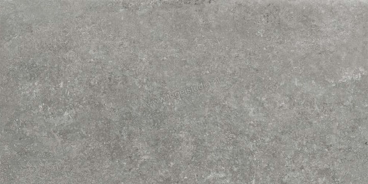  Ceramiche Caesar Step In Grey 30x60 cm Vloertegel / Wandtegel Mat Vlak Naturale AGWZ CAE | 363247