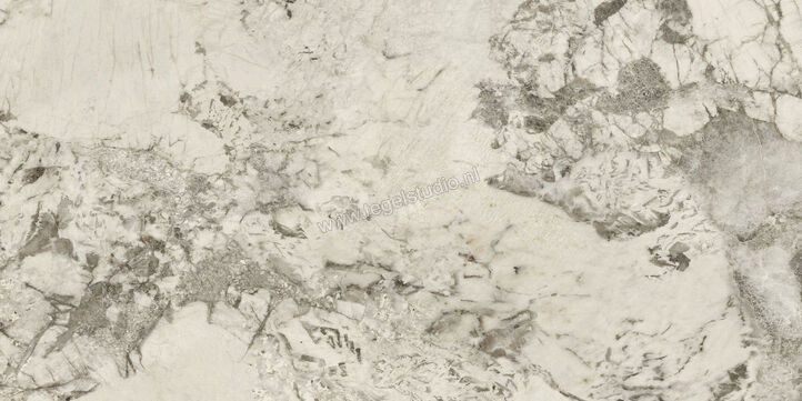  Ceramiche Caesar Anima Wonder Glacier 60x120 cm Decor Mat Vlak Naturale AHSD CAE | 363829