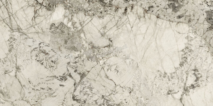  Ceramiche Caesar Anima Wonder Glacier 60x120 cm Decor Mat Vlak Naturale AHSD CAE | 363835