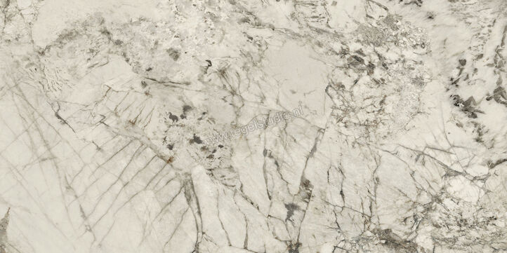  Ceramiche Caesar Anima Wonder Glacier 60x120 cm Decor Mat Vlak Naturale AHSD CAE | 363841