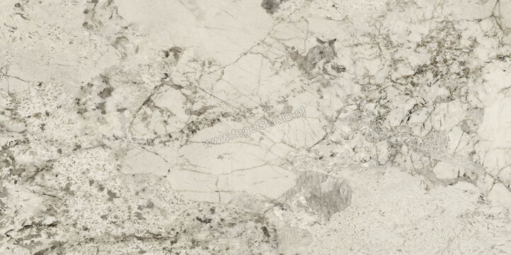  Ceramiche Caesar Anima Wonder Glacier 60x120 cm Decor Mat Vlak Naturale AHSD CAE | 363844