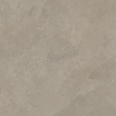  Ceramiche Caesar Slab2 Ash 120x120 cm Vloertegel / Wandtegel Mat Vlak Touch Plus AG0E CAE | 364015