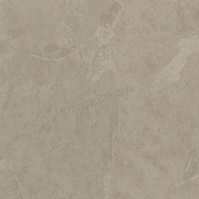  Ceramiche Caesar Slab2 Ash 60x60 cm Vloertegel / Wandtegel Mat Vlak Touch Plus AGY9 CAE | 364189
