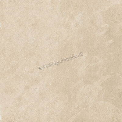  Ceramiche Caesar Slab2 Khaki 60x60 cm Vloertegel / Wandtegel Mat Vlak Touch Plus AGY7 CAE | 364357