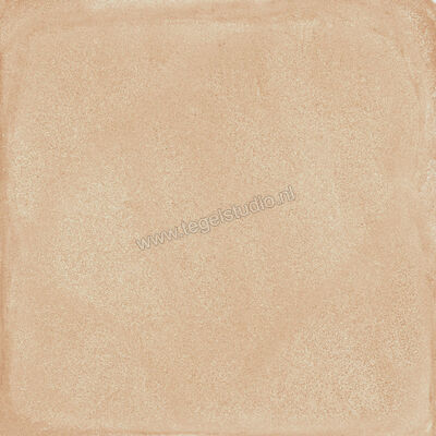  Ragno Amuri Biscotto 20x20 cm Decor Mat Vlak Naturale RC7A | 364861