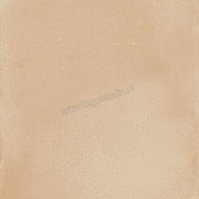  Ragno Amuri Biscotto 20x20 cm Decor Mat Vlak Naturale RC7A | 364864