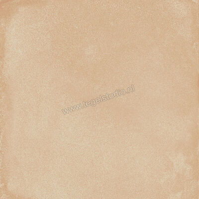  Ragno Amuri Biscotto 20x20 cm Decor Mat Vlak Naturale RC7A | 364867