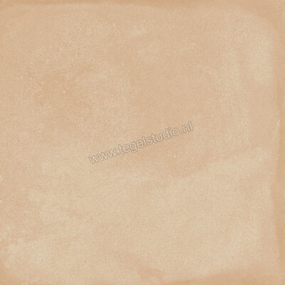  Ragno Amuri Biscotto 20x20 cm Decor Mat Vlak Naturale RC7A | 364876