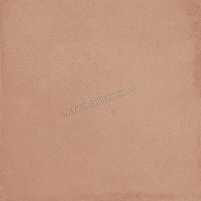  Ragno Amuri Cotto 20x20 cm Decor Mat Vlak Naturale RC7C | 364882