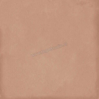  Ragno Amuri Cotto 20x20 cm Decor Mat Vlak Naturale RC7C | 364885