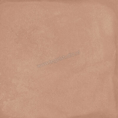  Ragno Amuri Cotto 20x20 cm Decor Mat Vlak Naturale RC7C | 364888