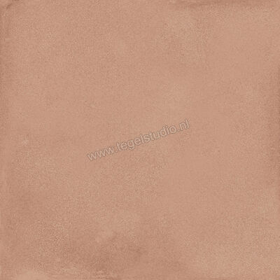  Ragno Amuri Cotto 20x20 cm Decor Mat Vlak Naturale RC7C | 364891