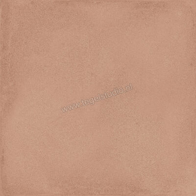  Ragno Amuri Cotto 20x20 cm Decor Mat Vlak Naturale RC7C | 364894