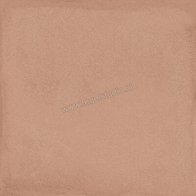  Ragno Amuri Cotto 20x20 cm Decor Mat Vlak Naturale RC7C | 364897