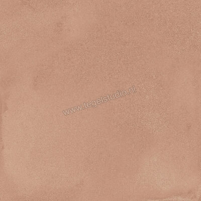  Ragno Amuri Cotto 20x20 cm Decor Mat Vlak Naturale RC7C | 364900
