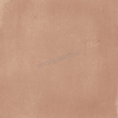  Ragno Amuri Cotto 20x20 cm Decor Mat Vlak Naturale RC7C | 364903