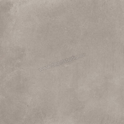  Ragno Amuri Grigio 20x20 cm Decor Mat Vlak Naturale RC7D | 364906