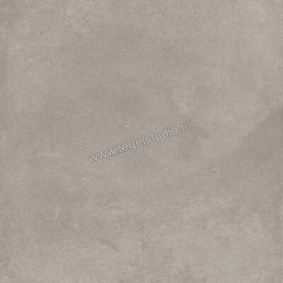  Ragno Amuri Grigio 20x20 cm Decor Mat Vlak Naturale RC7D | 364909