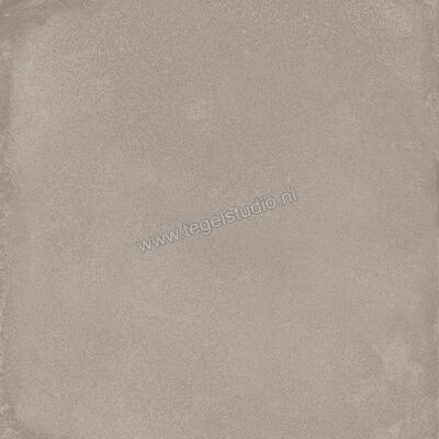  Ragno Amuri Grigio 20x20 cm Decor Mat Vlak Naturale RC7D | 364912