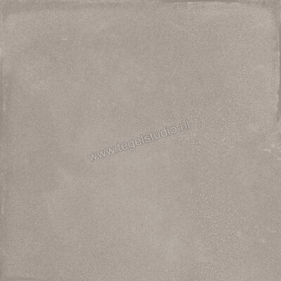  Ragno Amuri Grigio 20x20 cm Decor Mat Vlak Naturale RC7D | 364915