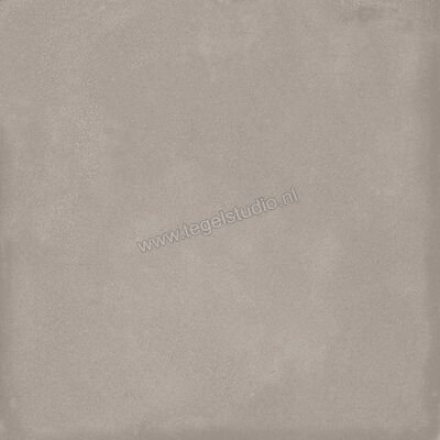  Ragno Amuri Grigio 20x20 cm Decor Mat Vlak Naturale RC7D | 364918