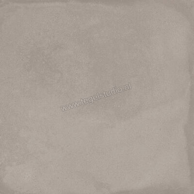  Ragno Amuri Grigio 20x20 cm Decor Mat Vlak Naturale RC7D | 364921
