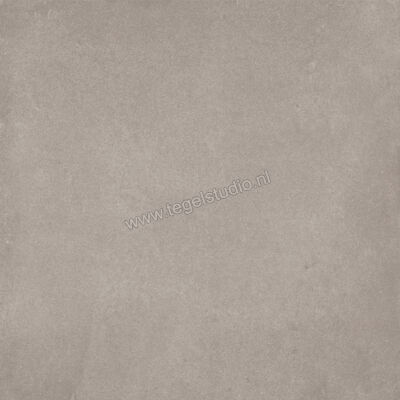  Ragno Amuri Grigio 20x20 cm Decor Mat Vlak Naturale RC7D | 364927