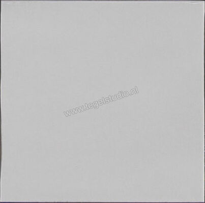  Ragno Amuri Bianco 20x20 cm Vloertegel / Wandtegel Glanzend Vlak Naturale RC7N | 365035