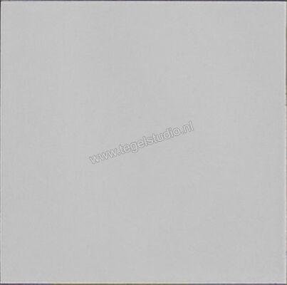  Ragno Amuri Bianco 20x20 cm Vloertegel / Wandtegel Glanzend Vlak Naturale RC7N | 365041
