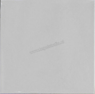  Ragno Amuri Bianco 20x20 cm Vloertegel / Wandtegel Glanzend Vlak Naturale RC7N | 365044