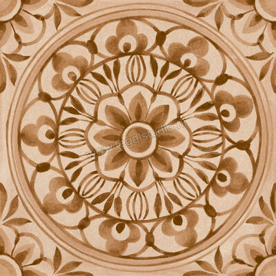  Ragno Amuri Biscotto 20x20 cm Decor Pizzo Mat Vlak Naturale RC7S | 365089
