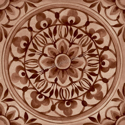  Ragno Amuri Cotto 20x20 cm Decor Pizzo Mat Vlak Naturale RC7T | 365104