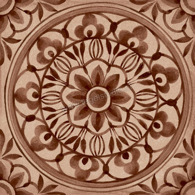  Ragno Amuri Cotto 20x20 cm Decor Pizzo Mat Vlak Naturale RC7T | 365107