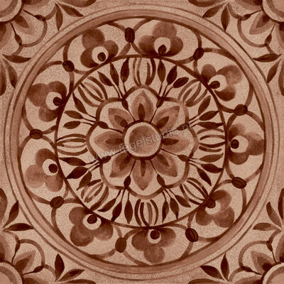  Ragno Amuri Cotto 20x20 cm Decor Pizzo Mat Vlak Naturale RC7T | 365113